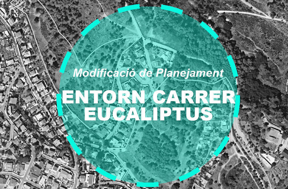 Consulta prèvia Sector Eucaliptus