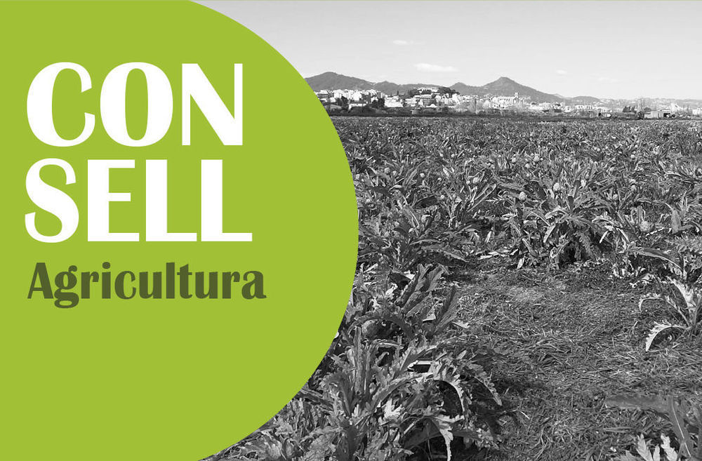 Consell d&#39;Agricultura 