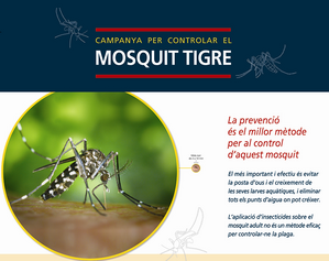 Campanya informativa de control i prevenció del mosquit tigre