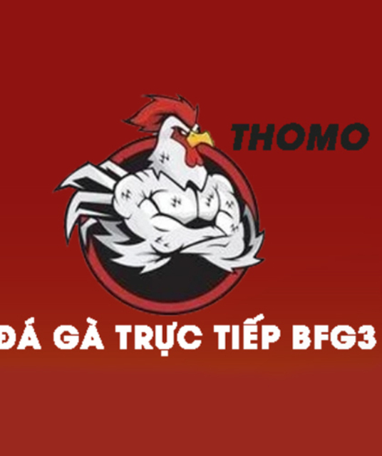 avatar ĐÁ GÀ TRỰC TIẾP CAMPUCHIA GÀ THOMO HÔM NAY