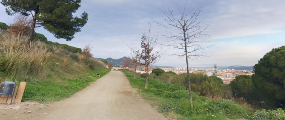 Fanals al camí del Parc de la Muntanyeta