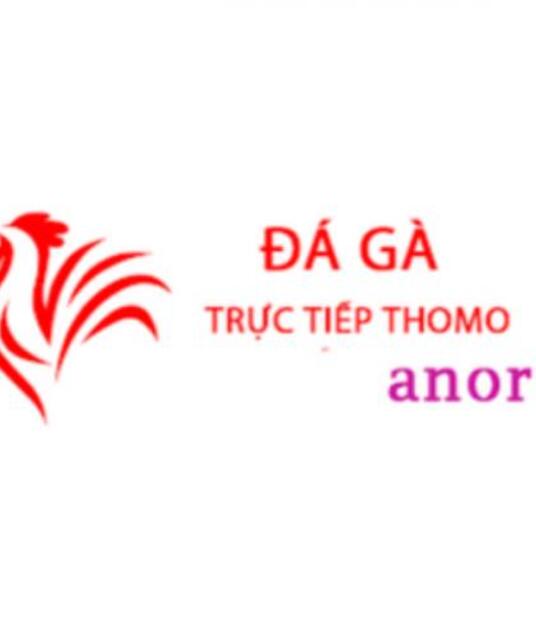 avatar Đá Gà Trực Tiếp Thomo Hôm Nay